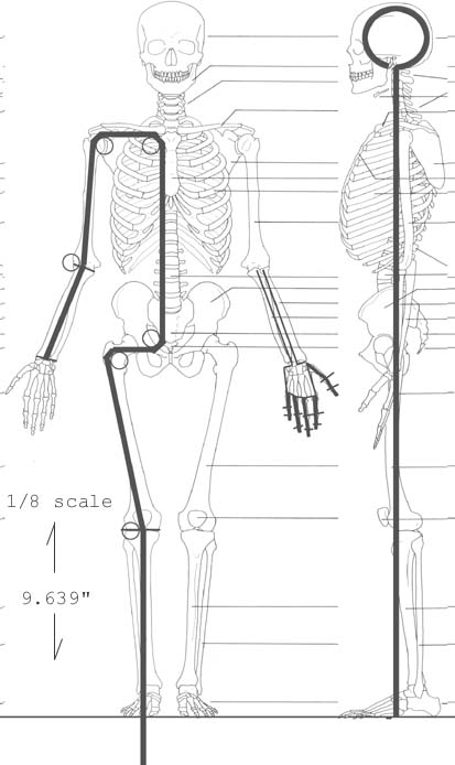 skeletonwire185cs