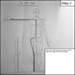 armature0029in